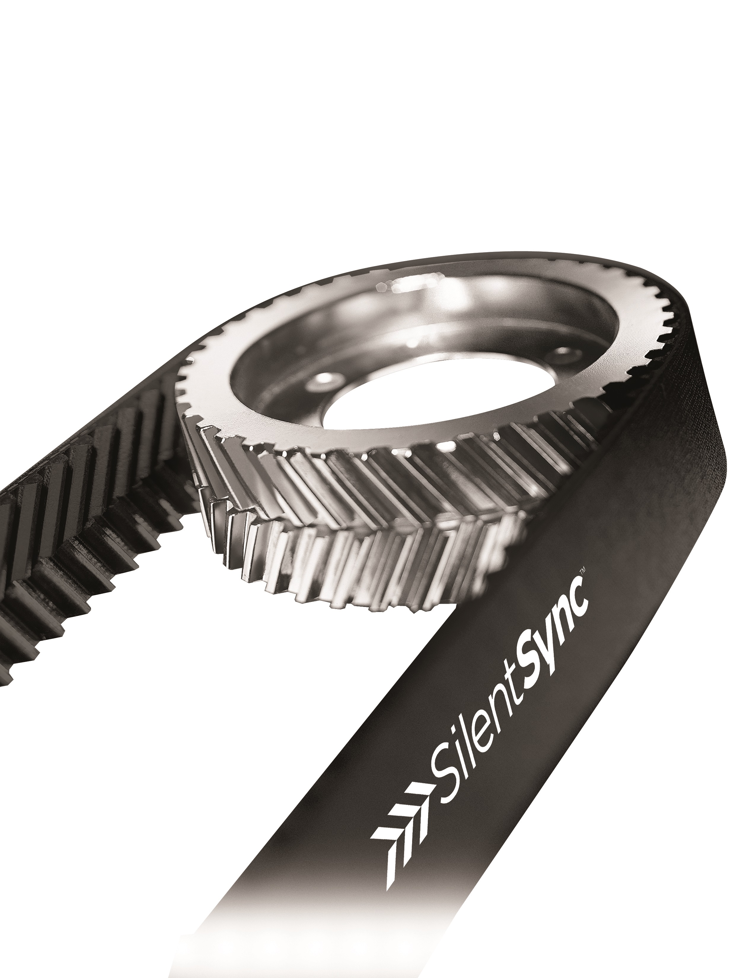 synchronous belt