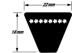 Metric_22mm_v_belt