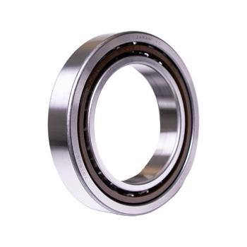 koyo_poly_cage_single_7