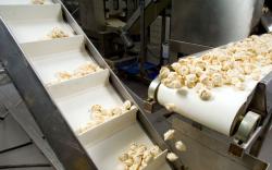 Conveyor Belts &  Accessories