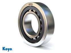 Koyo Cylindrical Roller Bearings